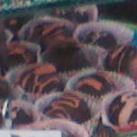 Raspberry Ruffles
